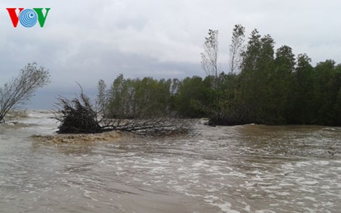 សន្និសីទ onlines ទប់ទល់នឹងភាពរីងស្ងួតនិងចូលទឹកប្រៃ